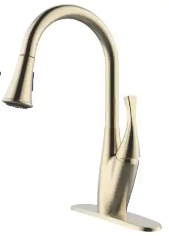 Co-op Paris Kitchen Faucet offer