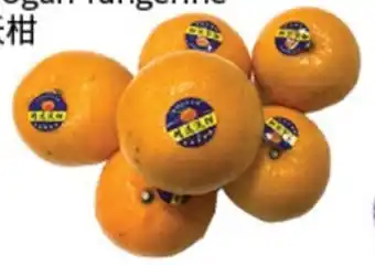FreshWay Foodmart Wogan Tangerine offer