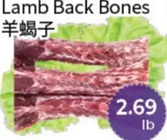 Lamb Back Bones
