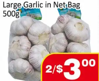 Large Garlic in Net Bag 500g