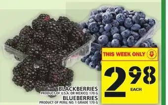 Food Basics Blackberries or blueberries offer