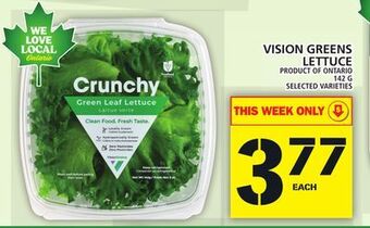 Food Basics Vision greens lettuce offer