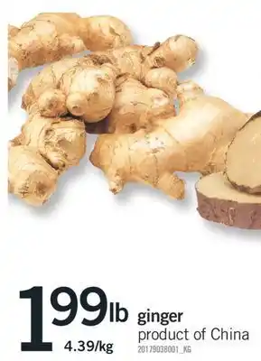 Fortinos Ginger offer
