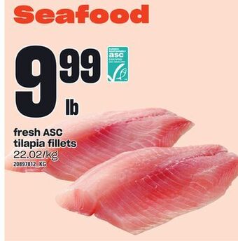 Loblaws Fresh asc tilapia fillets offer