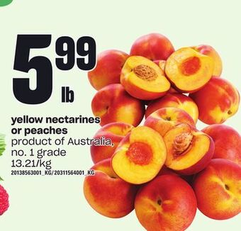 Loblaws Yellow nectarines or peaches offer