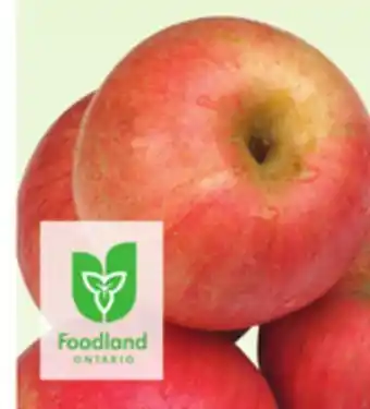 Foodland Fuji apples canada extra fancy product of ontario offer