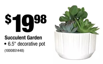 Home Depot Succulent garden offer