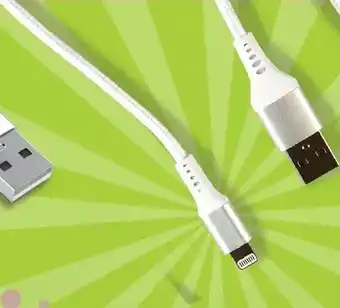 Giant Tiger 10' 2a usb c to lightning cable offer