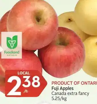 Foodland Fuji apples offer