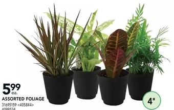Lowe's Assorted foliage offer