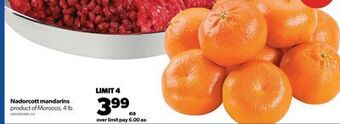 Real Canadian Superstore Nadorcott mandarins, 4 lb offer