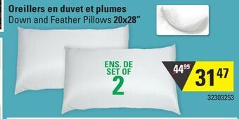 Hart Down and feather pillows 20x28" offer