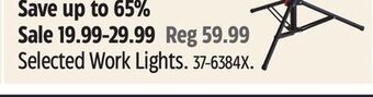 Canadian Tire Selected work lights offer