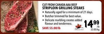 Farm Boy Cut from canada aaa beef striploin grilling steaks offer