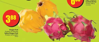 FreshCo Dragon fruit | yellow dragon fruit offer