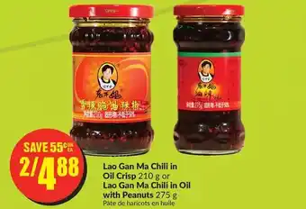 FreshCo Lao gan ma chilli in oil crisp or lao gan ma chilli in oil with peanuts offer