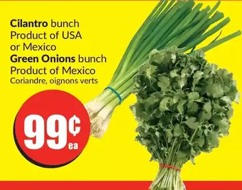 FreshCo Cilantro or green onions offer