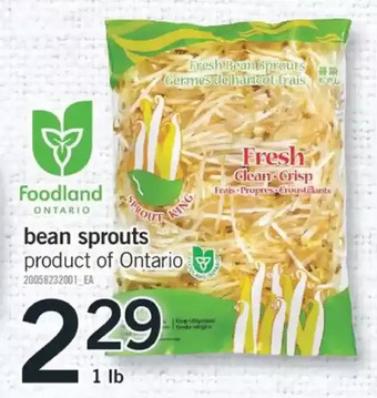 Fortinos Bean sprouts offer