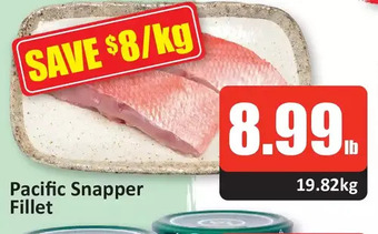 Starsky Pacific snapper fillet offer