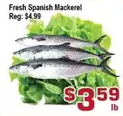 Top Food Supermarket Fresh spanish mackerel offer