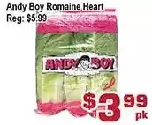 Andy boy romaine heart