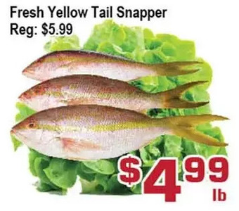 Top Food Supermarket Fresh yellow tail snapper offer