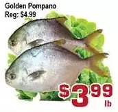 Top Food Supermarket Golden pompano offer