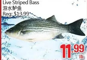 Hong Tai Supermarket Live striped bass offer