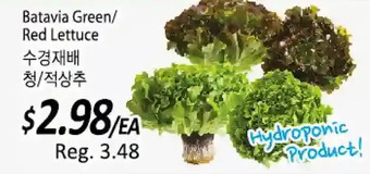 Galleria Supermarket Batavia green/ red lettuce offer