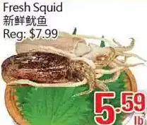 Hong Tai Supermarket Fresh squid offer