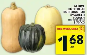 Food Basics Acorn Buttercup Butternut or Spaghetti Squash 3.70/kg offer