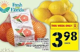 Food Basics Lemons 2 lb, Red Grapefruit 3 lb offer