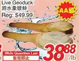 Foody World Live geoduck offer