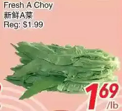 Foody World Fresh a choy offer