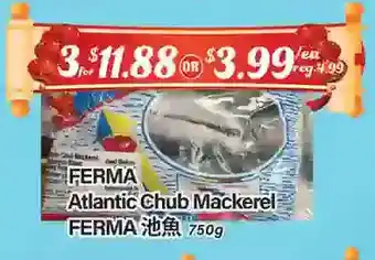 Btrust Supermarket Ferma atlantic chub mackerel offer