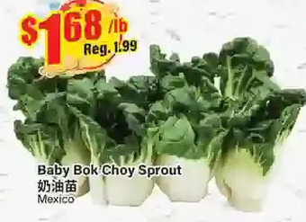 Btrust Supermarket Baby bok choy sprout offer