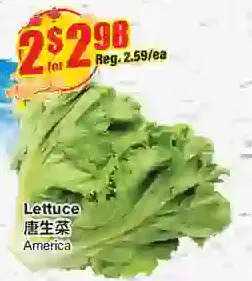 Btrust Supermarket Lettuce offer