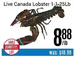 Nations Fresh Foods Live canada lobster offer