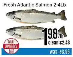 Nations Fresh Foods Fresh atlantic salmon offer