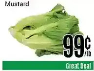 Nations Fresh Foods Mustard offer