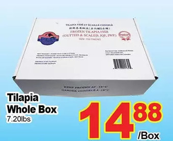 T&T Supermarket Tilapia whole box offer