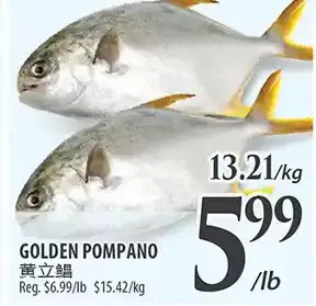 Al Premium Food Mart Golden pompano offer