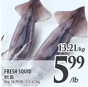 Al Premium Food Mart Fresh squid offer