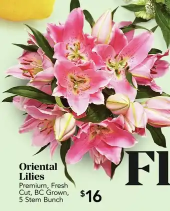 Urban Fare Oriental lilies offer