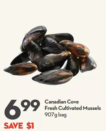 Longo's Canadian cove fresh cultivated mussels offer