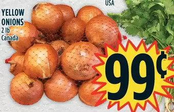 Marché Adonis Yellow onions offer
