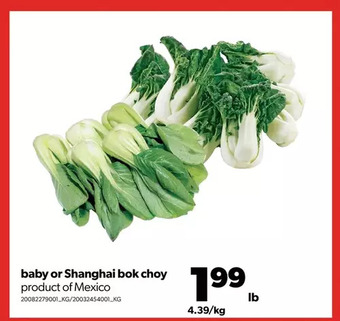 Real Canadian Superstore Baby or Shanghai Bok Choy offer