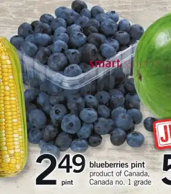 Fortinos Blueberries pint offer