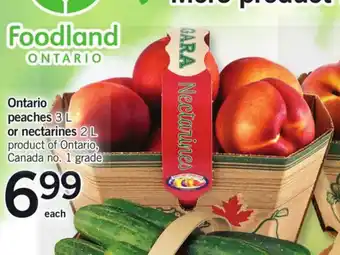 Fortinos Ontario peaches or nectarines offer