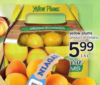 Fortinos Yellow plums offer